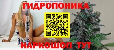 стаф Славгород