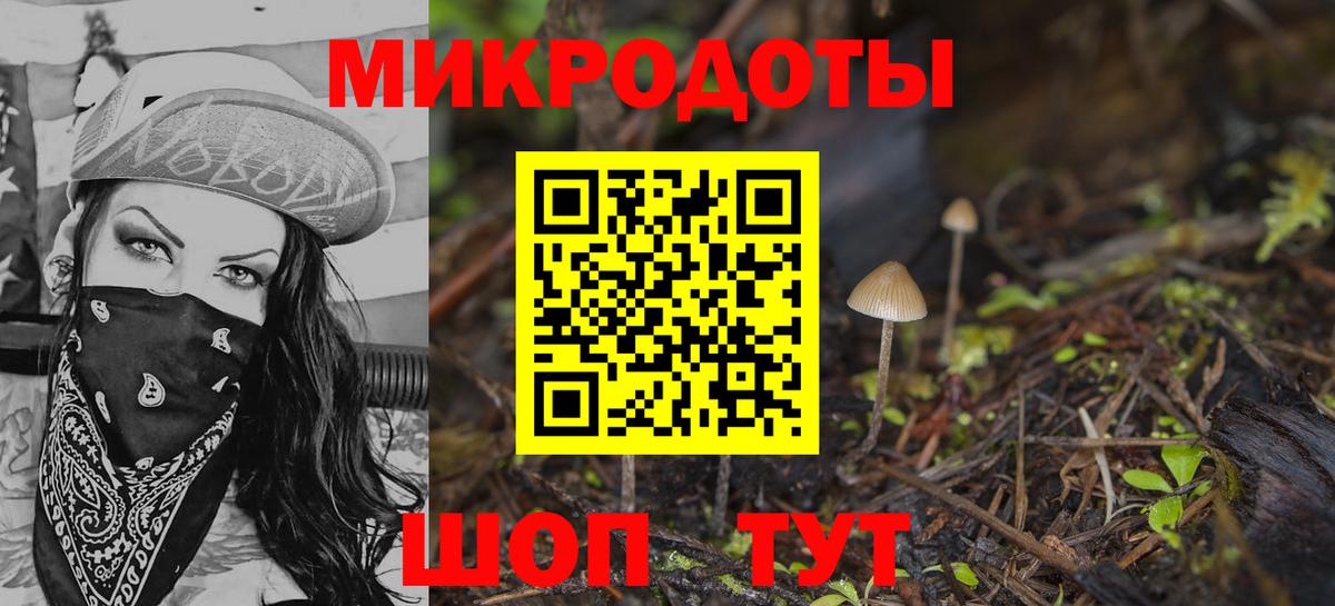 Галлюциногенные грибы мицелий  Вход с VPN  Строитель  закладка  Галлюциногенные грибы MAGIC MUSHROOMS 